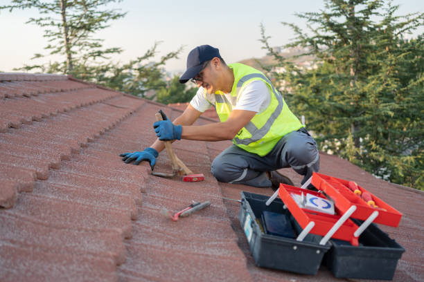 Best Residential Roof Replacement  in USA